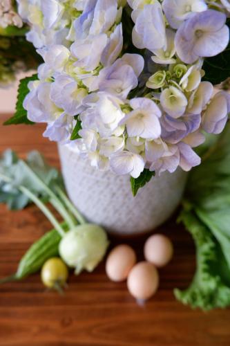 Gambar di galeri bagi Thom Farm and Retreat di Teurnoum