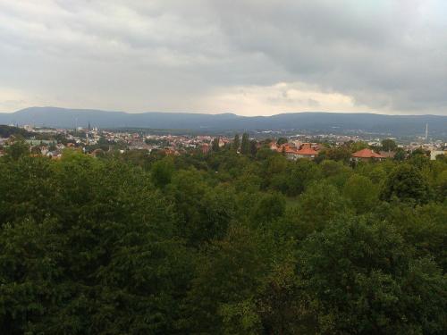 a view of the city from the top of a hill at Hotel Panorama in Teplice