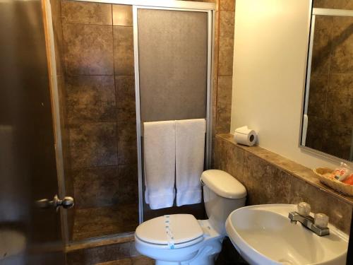 a bathroom with a shower and a toilet and a sink at HOTEL BUGAMBILIAS in Ensenada