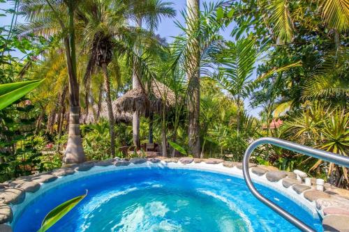 a pool in a resort with palm trees at Casa Virgilio B&B in Nuevo Vallarta 