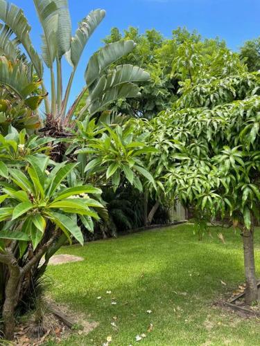 a garden with lush green plants and trees at Ruby Tuesday - Little Beach House in Anna Bay