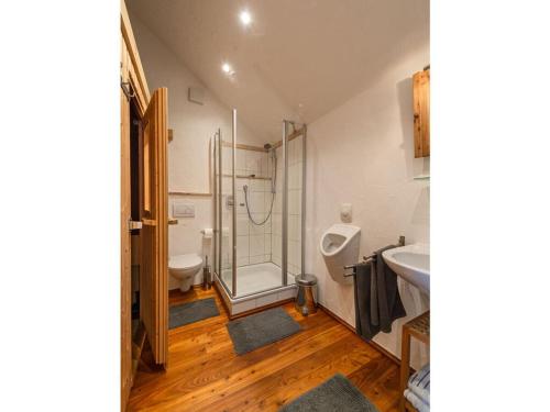 a bathroom with a shower and a toilet and a sink at Stork's Nest Modern retreat in Eichenzell