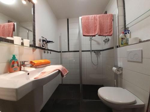 ein Bad mit einer Dusche, einem Waschbecken und einem WC in der Unterkunft Bärenhüsli No 4 in Titisee