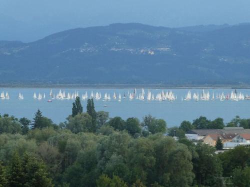 a group of sailboats on a lake with houses and trees at Hanssen in Lindau Lake Constance in Lindau
