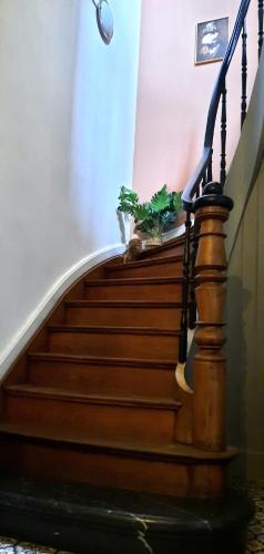 a stairway with a potted plant on top of it at La Villa Beausejour in Baives