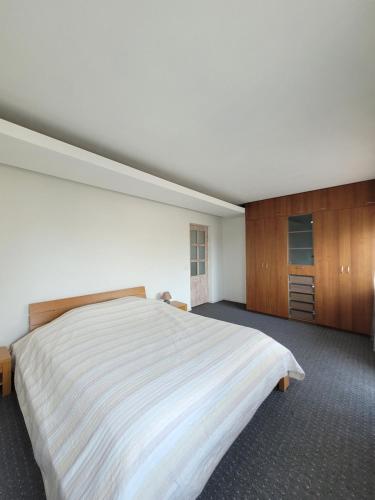 מיטה או מיטות בחדר ב-Giedre Apartments - Taikos