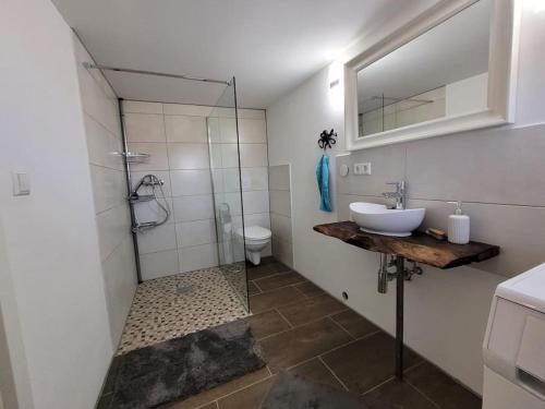 a bathroom with a shower and a sink and a toilet at Urlaub unter Reetdach auf dem Darß in Fuhlendorf