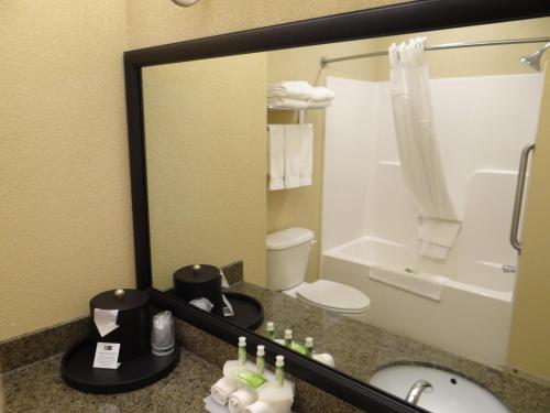 a hotel bathroom with a sink and a mirror at Holiday Inn Express Hotel & Suites Salisbury - Delmar by IHG in Delmar