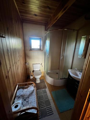 a bathroom with a shower and a toilet and a sink at Domek u Karkonosza in Kamienna Góra