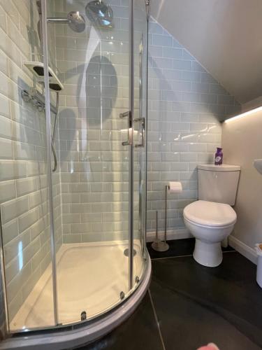 a bathroom with a shower and a toilet at The Hayloft, Exmoor in Withypool