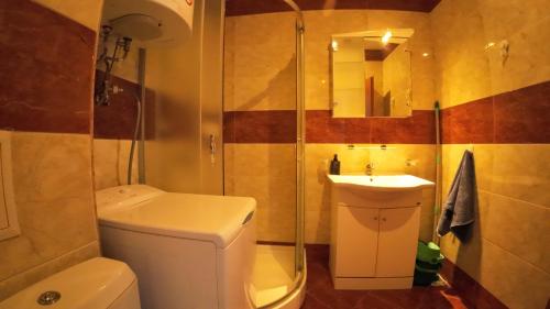 a bathroom with a shower and a toilet and a sink at William's apartments - fifth amazing studio in Sveti Vlas