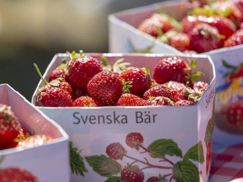 three boxes of strawberries sitting on a table at 4 star holiday home in VÄXJÖ-By Traum in Växjö