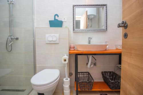 a bathroom with a sink and a toilet and a mirror at Kuća za odmor Laurus s bazenom in Kukljica
