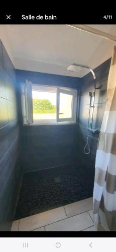 een badkamer met een douche en een raam bij Gite la Boisonade in Montauban