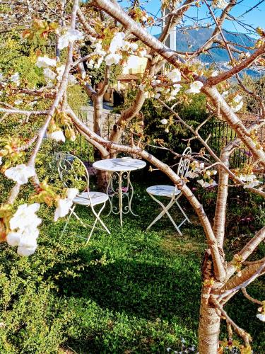 a table and chairs in a yard with a tree at Monti e Mare in Lanusei