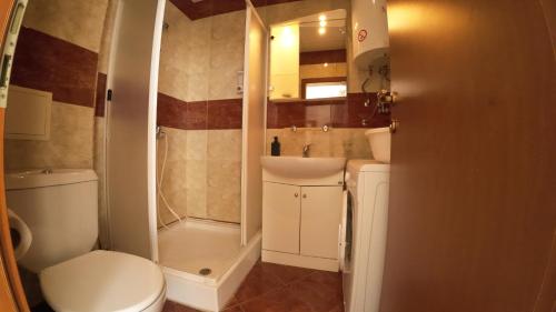 a bathroom with a toilet and a sink and a shower at William's apartments - second cozy studio in Sveti Vlas