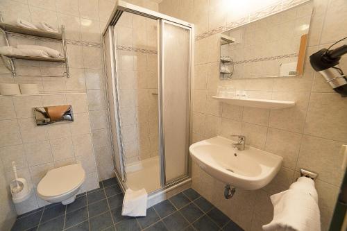 a bathroom with a shower and a toilet and a sink at Urlaubsland Sonnfeld in Flachau
