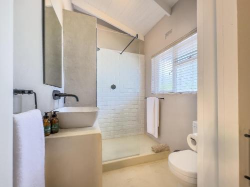 a bathroom with a sink and a toilet at Brinkley's River Village in Klein Brak Rivier