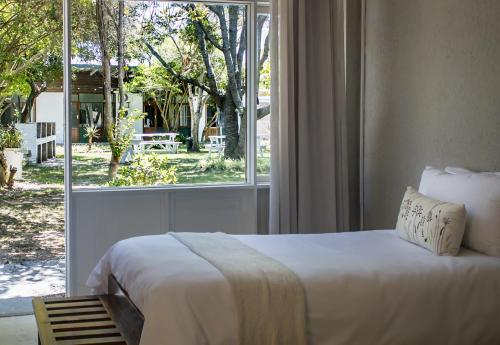 a bedroom with a bed and a large window at Brinkley's River Village in Klein Brak Rivier