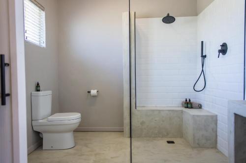 a bathroom with a toilet and a glass shower at Brinkley's River Village in Klein Brak Rivier