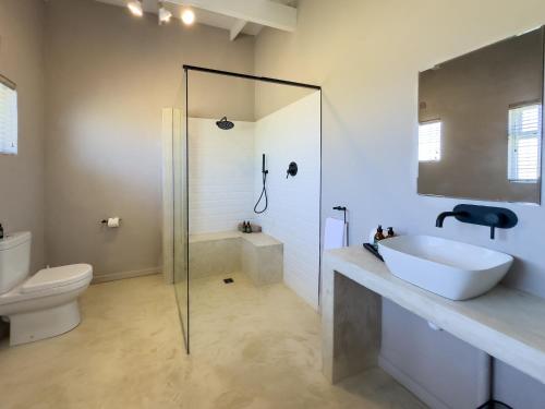 a bathroom with a sink and a shower and a toilet at Brinkley's River Village in Klein Brak Rivier