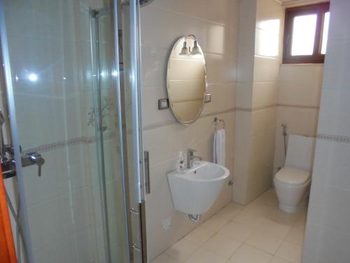 a bathroom with a sink and a shower and a toilet at Sidama Inn in Addis Ababa