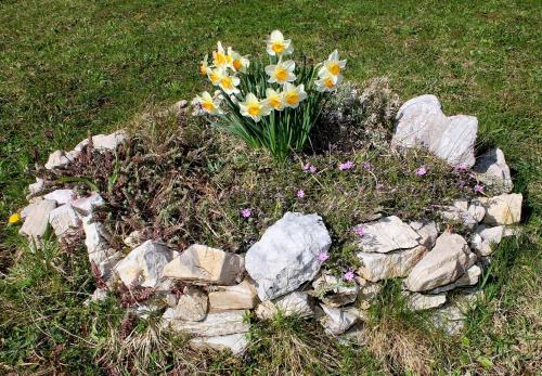 a flower bed of rocks and flowers in the grass at The Starlings Apartments Plitvice Lakes in Plitvička Jezera