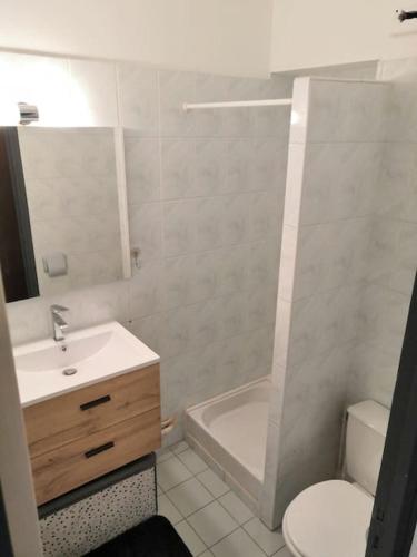 een badkamer met een wastafel, een toilet en een douche bij Grand T1 très calme Proche centre ville Rodez in Rodez