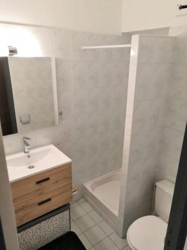 une salle de bain avec un lavabo, des toilettes et une douche dans l'établissement Grand T1 très calme Proche centre ville Rodez, à Rodez