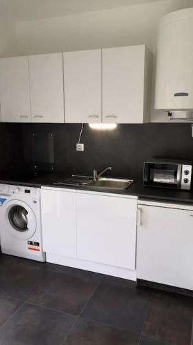 uma cozinha com um lavatório e uma máquina de lavar roupa em Grand T1 très calme Proche centre ville Rodez em Rodez