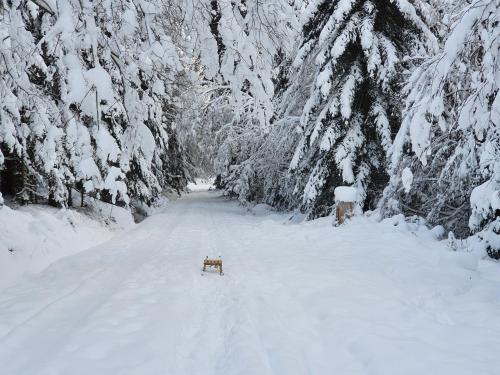 a road covered in snow with a bench in the middle at Ferienwohnung Kuckucksnest in Bad Wildbad