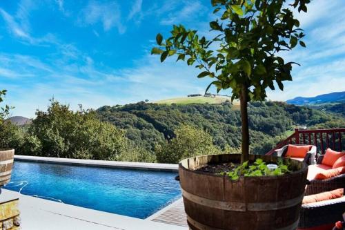 un arbre dans un tonneau à côté d'une piscine dans l'établissement Studio Baïgura - Déconnexion au Pays basque, à Hasparren