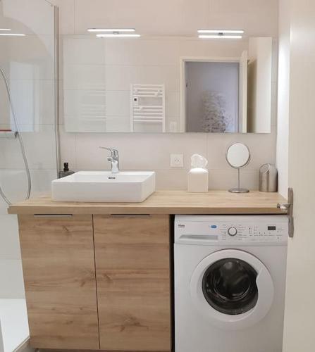 une salle de bain avec un lavabo et une machine à laver dans l'établissement Les Toits de Colmar, à Colmar