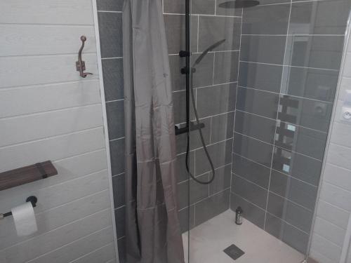 ein Bad mit Dusche und Duschvorhang in der Unterkunft chambre plénitude in Condé-sur-Noireau