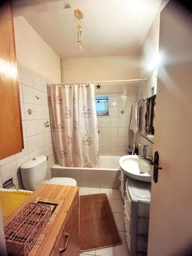 a bathroom with a sink and a toilet and a shower at Panormitis House in Kefalos