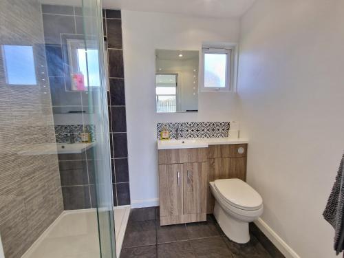 y baño con aseo, lavabo y ducha. en 67 Broadside Holiday Chalet near Broads & Beaches en Stalham