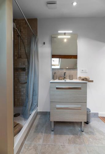 une salle de bain avec un lavabo et un miroir dans l'établissement Villa Poe-Tehani - Appartements design - Centre ville, à Vichy