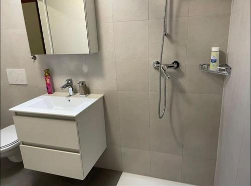 La salle de bains est pourvue d'une douche et d'un lavabo. dans l'établissement Logement spacieux proche de Lausanne, à Crissier
