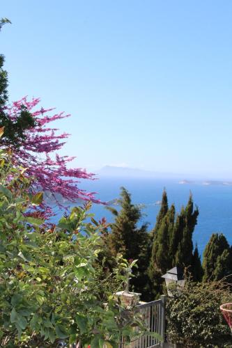 a view of the ocean from behind some trees at Villa Bettina 1st floor in Afionas