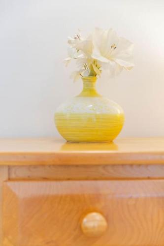 Photo de la galerie de l'établissement Le Pin parasol - Charmant 2 pièces avec piscine 4 personnes + bébé, à Saint-Raphaël