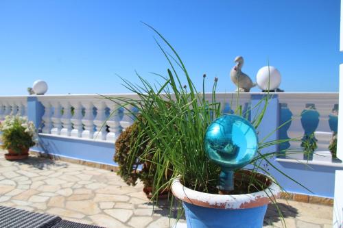 a plant in a blue pot next to a fence at Villa Bettina 1st floor in Afionas