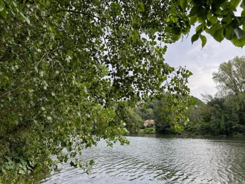 uitzicht op een rivier met bomen op de voorgrond bij Auberge des Avalats in Albi