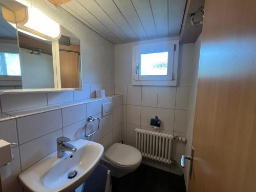 uma casa de banho com um lavatório, um WC e uma janela. em Apartment Deer em Grindelwald