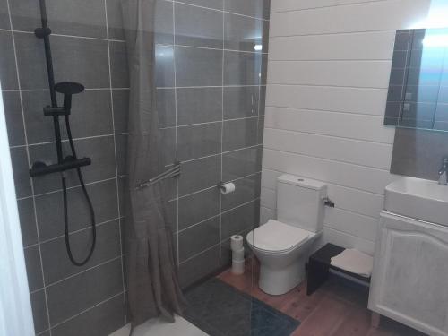 ein Bad mit einer Dusche und einem WC in der Unterkunft chambre zen in Condé-sur-Noireau