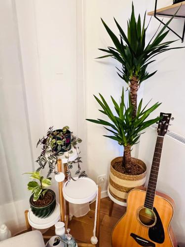 un salon avec une guitare et des plantes en pot dans l'établissement JO Paris 2024, à Saint-Ouen