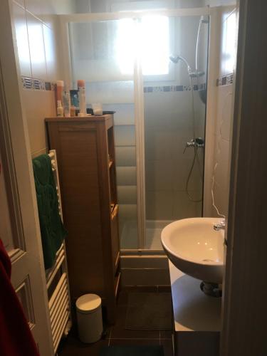 La petite salle de bains est pourvue d'une douche et d'un lavabo. dans l'établissement Appartement proche de Paris, à Deuil-la-Barre