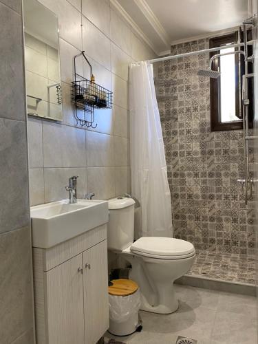 a bathroom with a toilet and a sink and a shower at Mons Apartments in Spílion