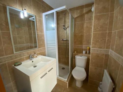 une salle de bain avec toilettes, lavabo et douche dans l'établissement Le Bohème Charmant appartement meublé avec parking, à Amélie-les-Bains-Palalda