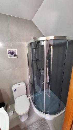 a bathroom with a toilet and a glass shower at O.W. MEGA nad jeziorem in Żywiec