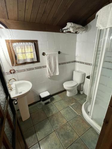 y baño con aseo, lavabo y ducha. en Casa rural en Redes, en Ríoseco